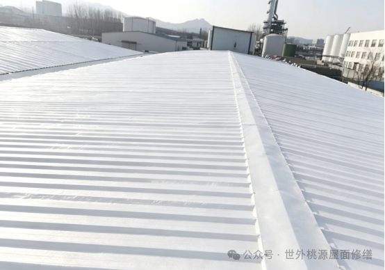 Completed waterproofing and cooling treatment on a food processing plant metal roof